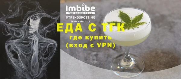 индика Заводоуковск
