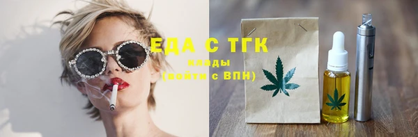индика Заводоуковск