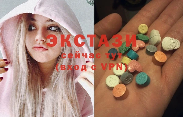 индика Заводоуковск