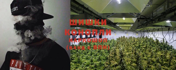 индика Заводоуковск