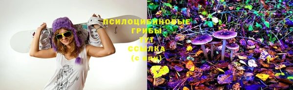 индика Заводоуковск