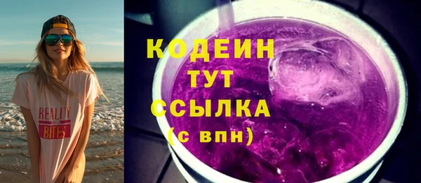 индика Заводоуковск