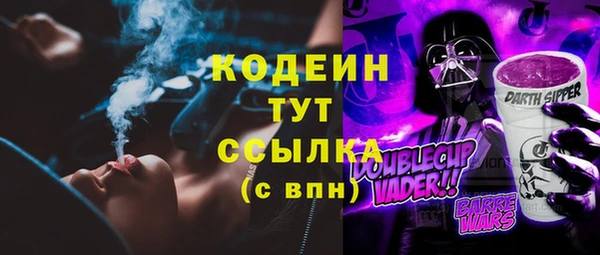 индика Заводоуковск