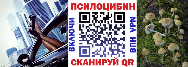 Псилоцибиновые грибы Psilocybe  Светлый 